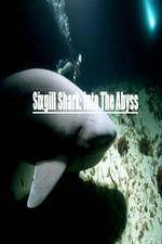 Watch National Geographic Wild Sixgill Shark Into The Abyss Wootly