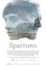 Watch Sparrows Wootly