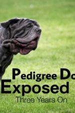Watch Pedigree Dogs Exposed, Three Years On Wootly