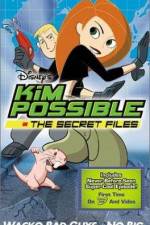 Watch "Kim Possible" Attack of the Killer Bebes Wootly