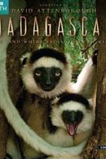 Watch Madagascar Island of Marvels Wootly