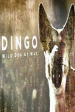 Watch Dingo Wild Dog at War Wootly