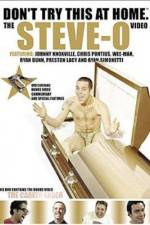 Watch Don't Try This at Home The Steve-O Video Wootly