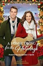 Watch A Homecoming for the Holidays Wootly