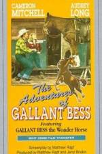 Watch Adventures of Gallant Bess Wootly