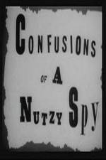 Watch Confusions of a Nutzy Spy Wootly