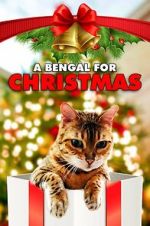 Watch A Bengal for Christmas Wootly