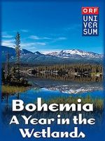 Watch Bohemia: A Year in the Wetlands Wootly