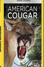 Watch National Geographic - American Cougar Wootly