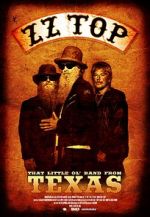 Watch ZZ Top: That Little Ol\' Band from Texas Wootly