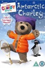 Watch Little Charley Bear - Antarctic Charley Wootly