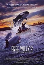 Watch Free Willy 2: The Adventure Home Wootly