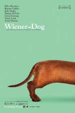 Watch Wiener-Dog Wootly