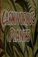 Watch Carnivorous Plants Wootly