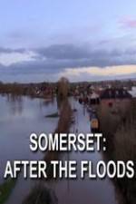 Watch Somerset: After the Floods Wootly