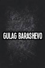 Watch Gulag Barashevo Wootly