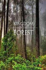 Watch National Geographic Kingdom of the Forest Wootly