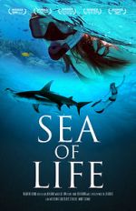 Watch Sea of Life Wootly