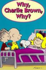 Watch Why Charlie Brown Why Wootly