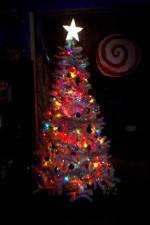 Watch O' Christmas Tree Wootly