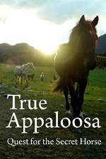 Watch True Appaloosa Wootly