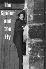 Watch The Spider and the Fly Wootly