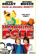 Watch Hatching Pete Wootly