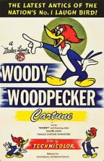 Watch The Woody Woodpecker Polka Wootly