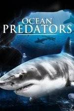 Watch Ocean Predators Wootly