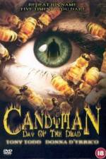 Watch Candyman: Day of the Dead Wootly