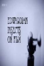 Watch Edwardian Insects on Film Wootly