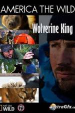 Watch National Geographic Wild America the Wild Wolverine King Wootly