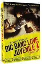 Watch Big Bang Love Juvenile A Wootly
