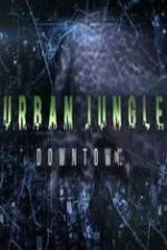 Watch National Geographic Wild Urban Jungle Downtown Wootly