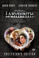 Watch Labyrinth Wootly