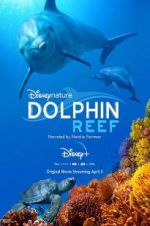 Watch Dolphin Reef Wootly