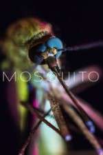 Watch Mosquito Wootly