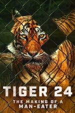 Watch Tiger 24 Wootly