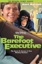 Watch The Barefoot Executive Wootly