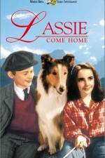 Watch Lassie Come Home Wootly