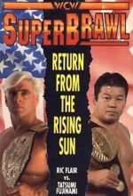 Watch WCW SuperBrawl I Wootly