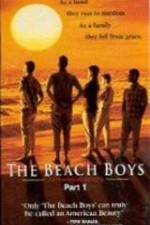 Watch The Beach Boys An American Family Wootly