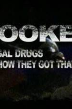 Watch Hooked: Illegal Drugs and How They Got That Way - Cocaine Wootly