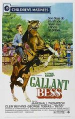 Watch Gallant Bess Wootly