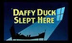 Watch Daffy Duck Slept Here (Short 1948) Wootly