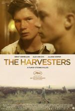 Watch The Harvesters Wootly