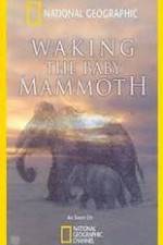 Watch Waking the Baby Mammoth Wootly