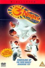 Watch 3 Ninjas Knuckle Up Wootly