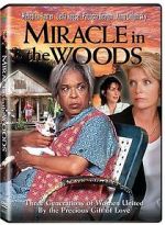 Watch Miracle in the Woods Wootly