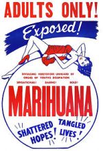 Watch Marihuana Wootly